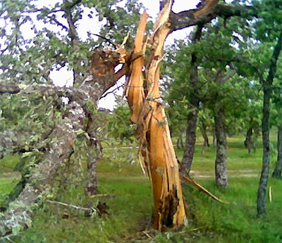 Impacta un rayo en el campo